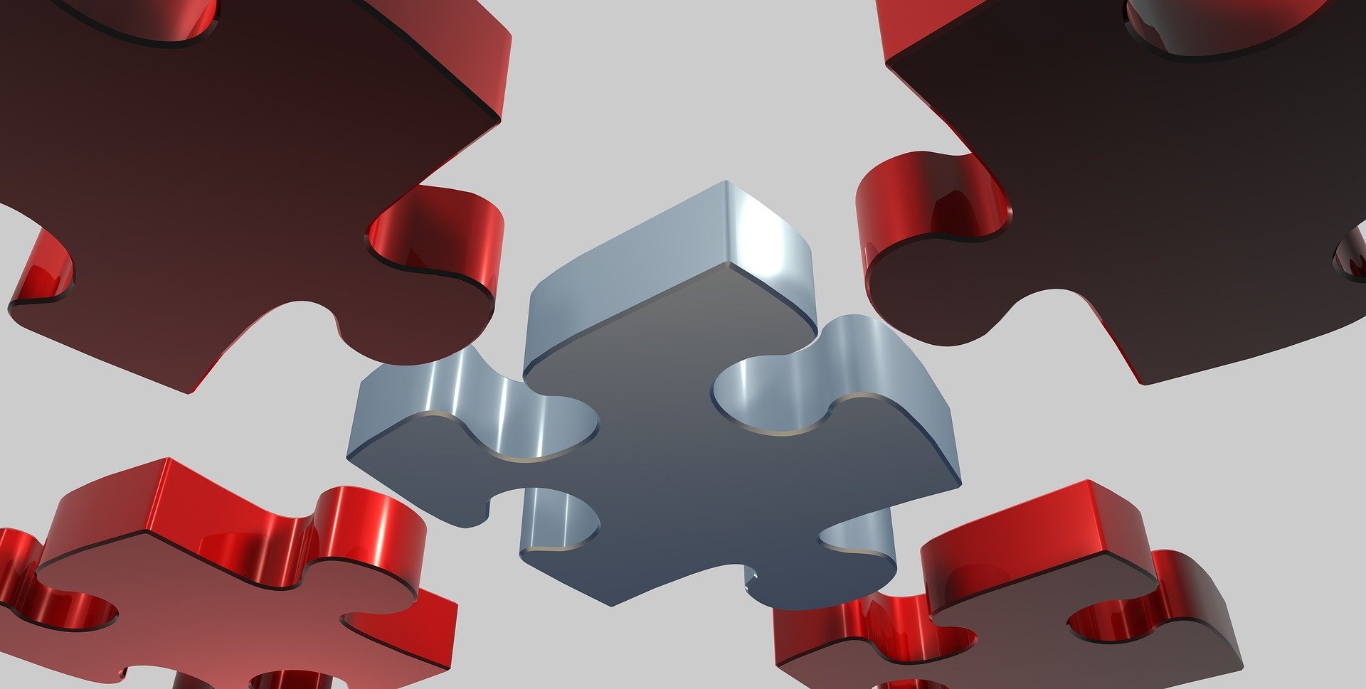 Tectona provides Strategic Financial Leadership